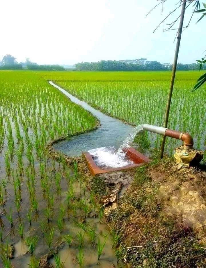 Water Management
